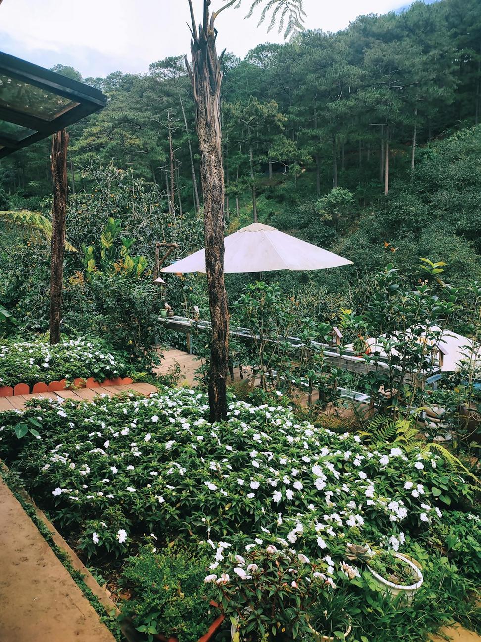 Green Roof